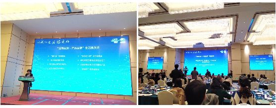 1548380112555891gxOx.jpg 2.jpg